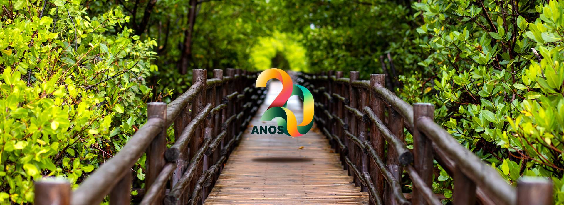 20 anos